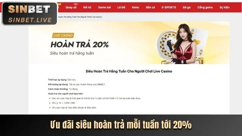 Cá cược có trách nhiệm và hỗ trợ người chơi
